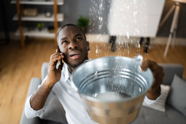 Best Ceiling water damage repair  in Woodcliff Lake, NJ